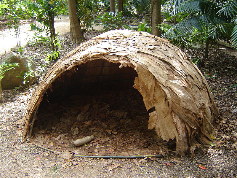 bamboo shelter