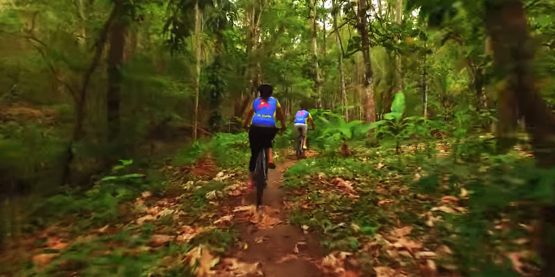 St Lucia Biking