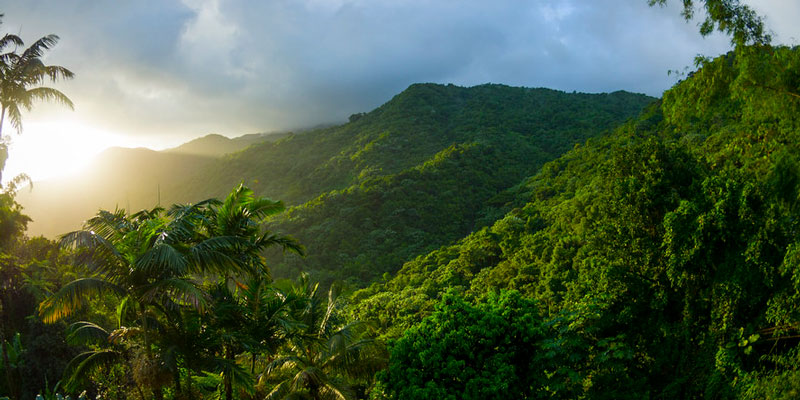  El Yunque National Forest 
