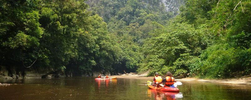 The Rucksack Rainforest Kayaking